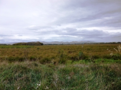 View across wetland from half-way.