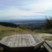 Picnic tables with a view