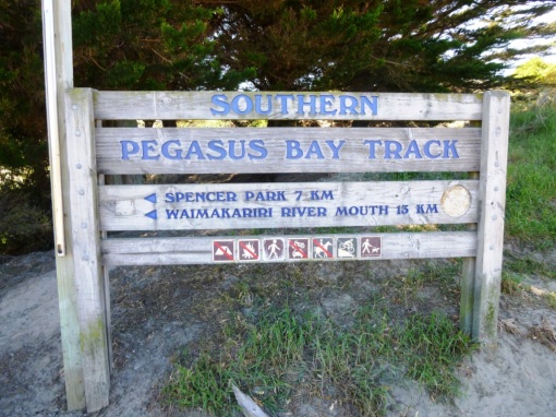 Southern Pegasus Bay Track