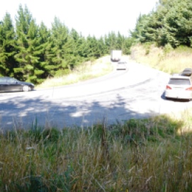 Parking on Dyers Pass Road